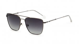 WE 3101 D Gun Polarized